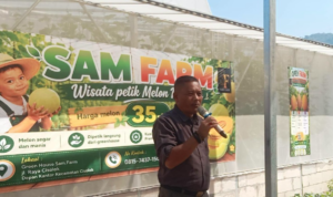 Wisata Petik Melon di Cisolok Resmi Dibuka, Dorong Pertanian Terintegrasi dan Ekonomi Lokal